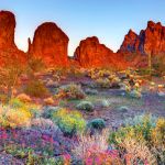 The Wonder Method Level 2: Deepening the Journey