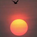 The Wonder Method Instructor Level II #22