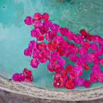 Wonder Method Workshop: “Birth your New Beginning” Level I #57 [Sundays PDT]