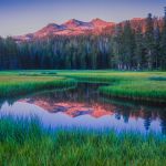 The Wonder Method Level 2 (PDT)