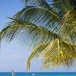 The Wonder Method Level 2, Class #11