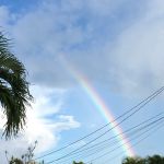 The Wonder Method Level 2 #2