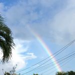 The Wonder Method Level 2