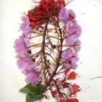 The Wonder Method Level II (Sunday EST)