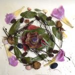 The Wonder Method™  Instructor Level 1 (Friday EST)