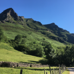 Wonder Method Niveau 1 Français