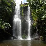 The Wonder Method Level 2, Class #19