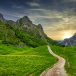 The Wonder Method Instructor Level 1 (PDT)